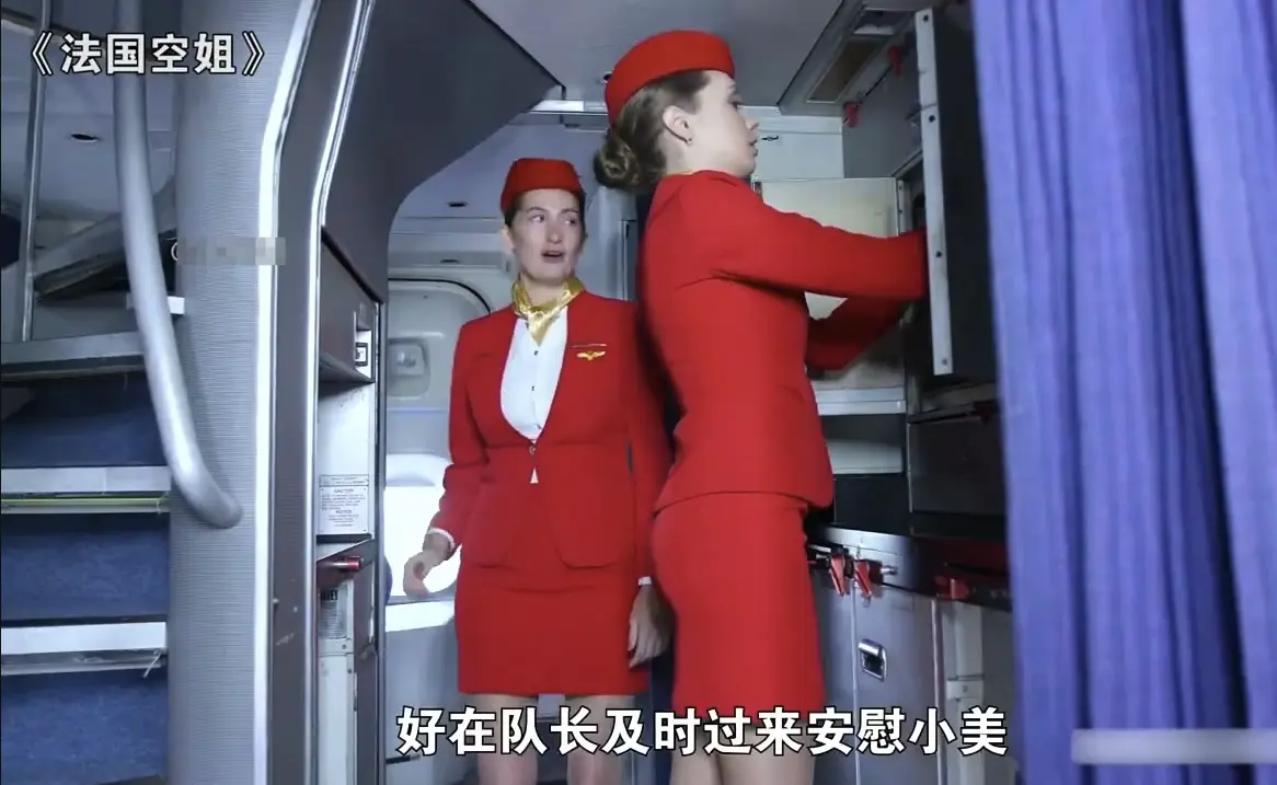 法国经典电影《法国空姐》完整版全集在线观看-多塞尔航空法版满天星720P高清免费播放-她曾以为自己是飞鸟却发现天空也有边界